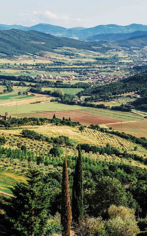 Villa Paradiso: Visninger