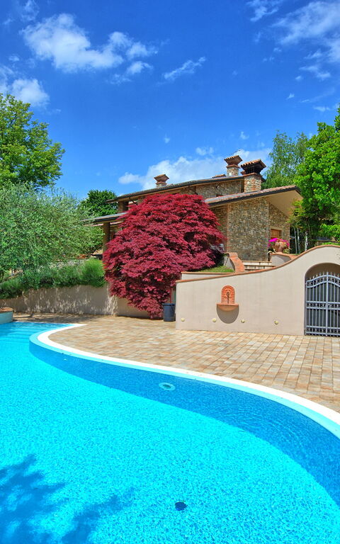 Villa Paradiso: Have, pool