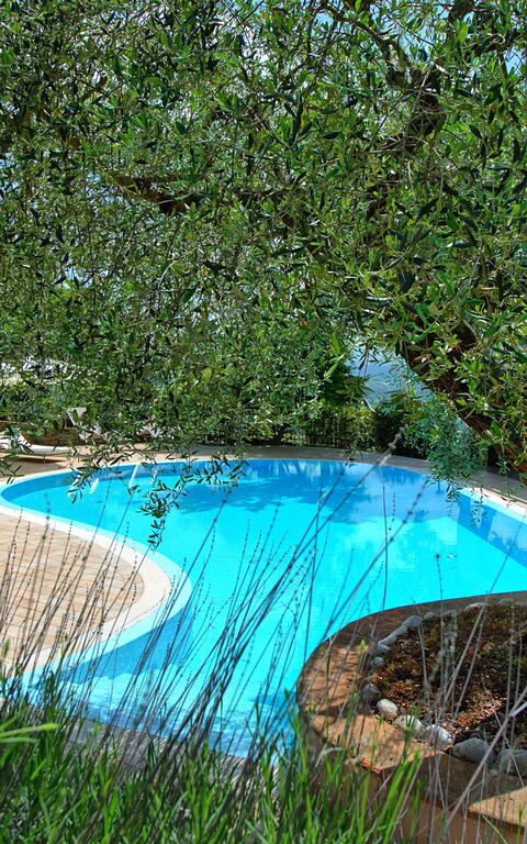 Villa Paradiso: Have, pool
