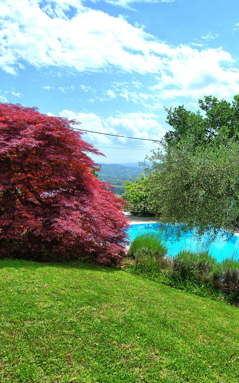 Villa Paradiso: Have