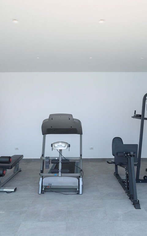 Villa Elysium: Aktiviteter