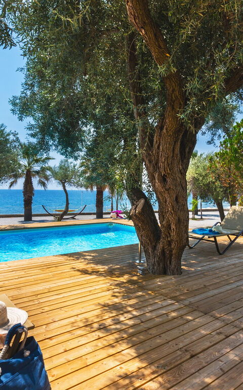 Villa Bellasia: pool, Udendørs, Udvendige, Visninger