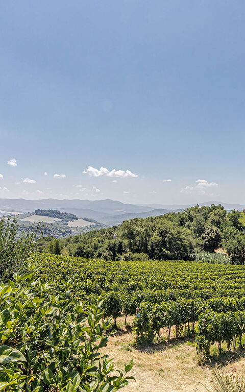 Chateau La Siroque: Udendørs, Udvendige, Visninger