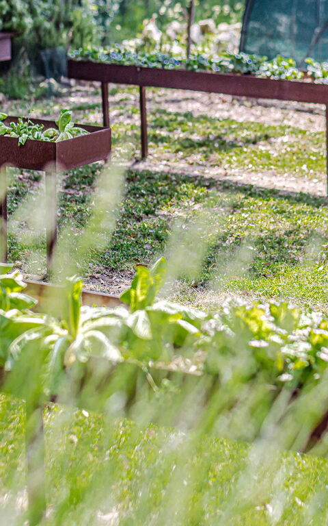 Chateau La Siroque: Have, Udendørs, Udvendige