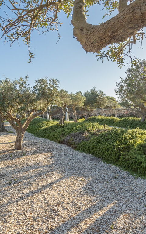 Villa Partenope: Have, Udendørs, Udvendige