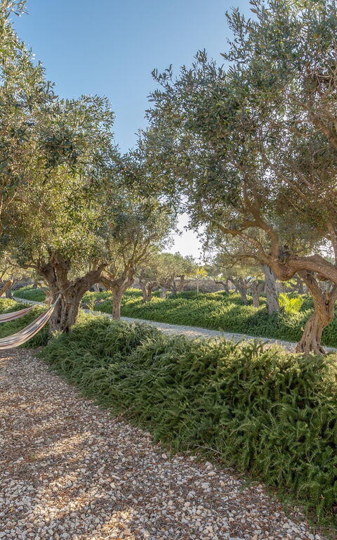 Villa Partenope: Have, Udendørs, Udvendige