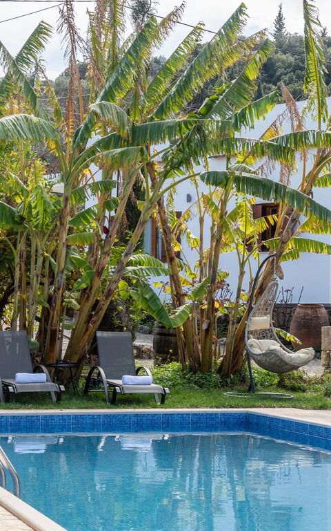 Klapas: Have, pool, Udvendige