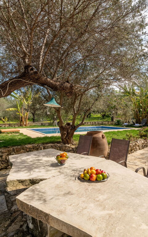 Klapas: Altan / terrasse / gårdhave, Have, pool, Udvendige