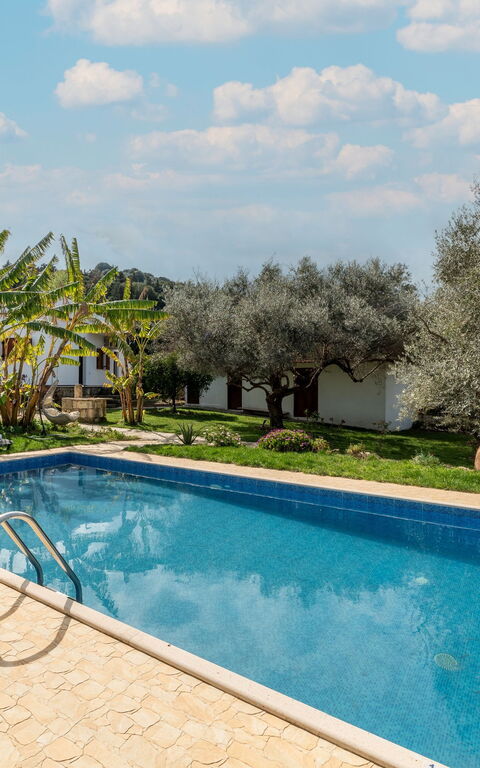 Klapas: Have, pool, Udvendige