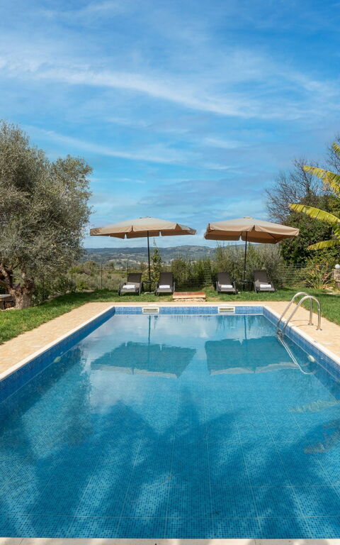 Klapas: Have, pool, Udvendige