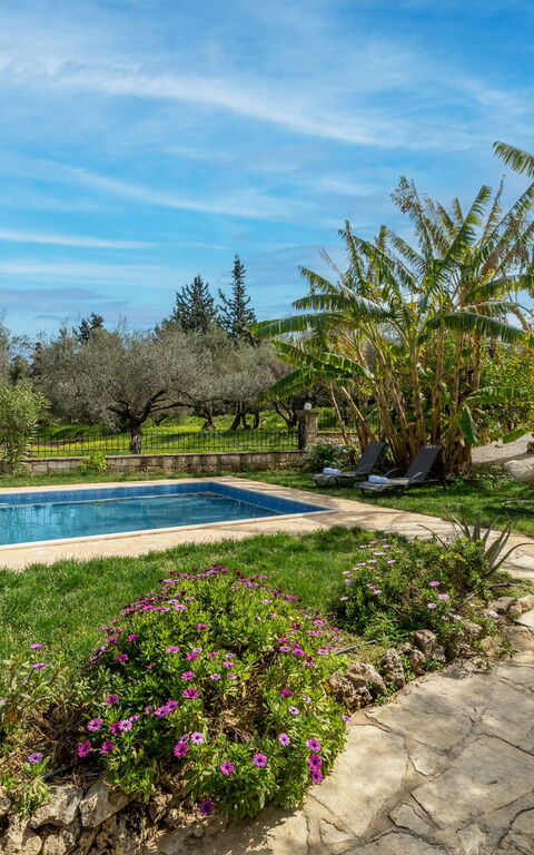 Klapas: Have, pool, Udvendige