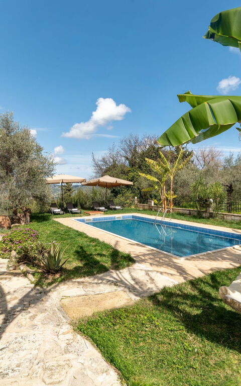 Klapas: Have, pool, Udvendige