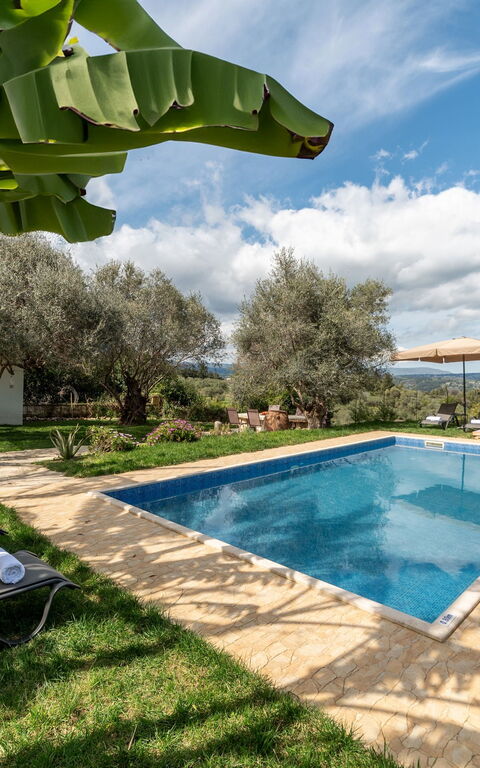 Klapas: Have, pool, Udvendige