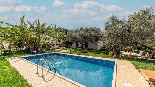 Klapas: Have, pool, Udvendige