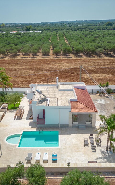 Villa Dolcevivere: pool, Sommer, Udendørs, Udvendige, Visninger