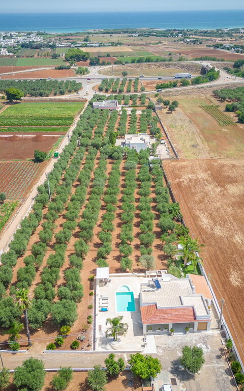 Villa Dolcevivere: Sommer, Udendørs, Udvendige, Visninger