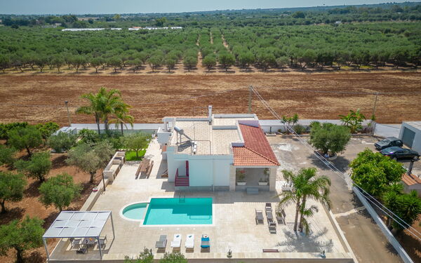 Villa Dolcevivere: pool, Sommer, Udendørs, Udvendige, Visninger