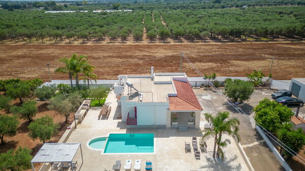 Villa Dolcevivere: pool, Sommer, Udendørs, Udvendige, Visninger