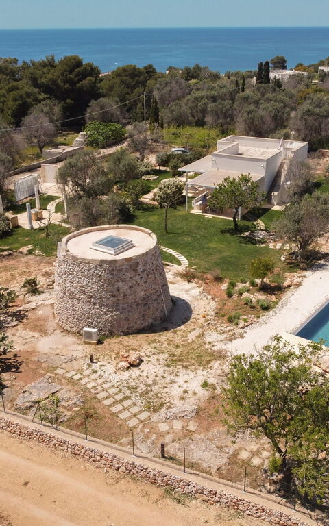 Villa Platino: Have, pool, Udendørs, Udvendige, Visninger