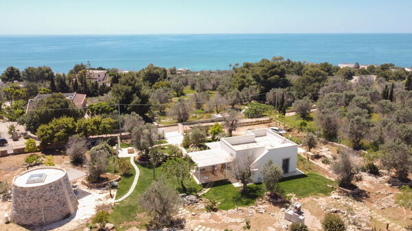 Villa Platino: Have, Udendørs, Udvendige, Visninger