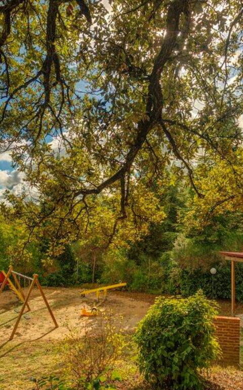 Leccino: Have, Udendørs, Udvendige, Visninger