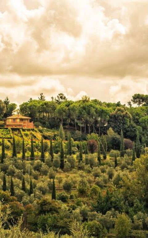 Leccino: Udendørs, Udvendige, Visninger