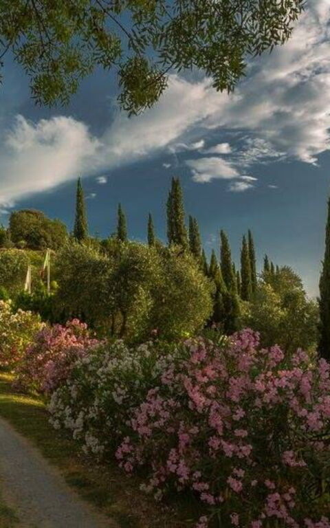 Leccino: Have, Udendørs, Udvendige, Visninger