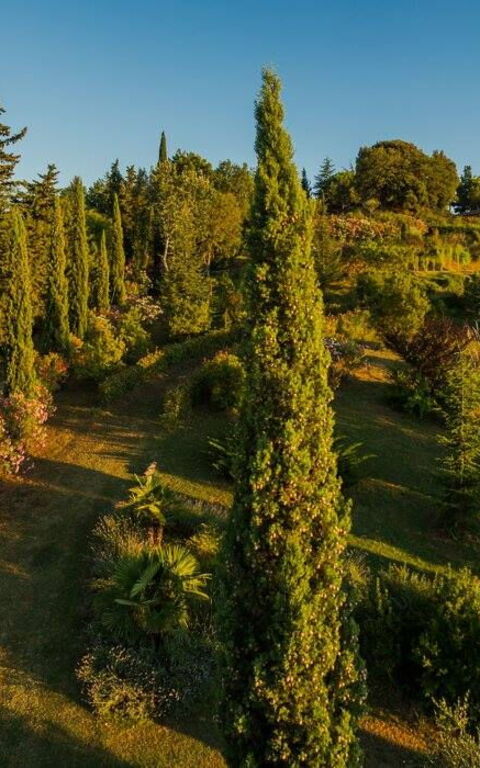 Leccino: Udendørs, Udvendige, Visninger