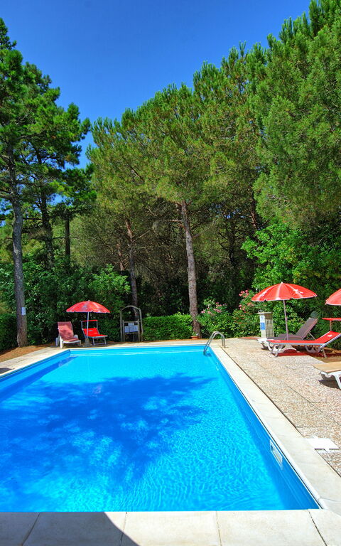 Leccino: Have, pool, Udendørs