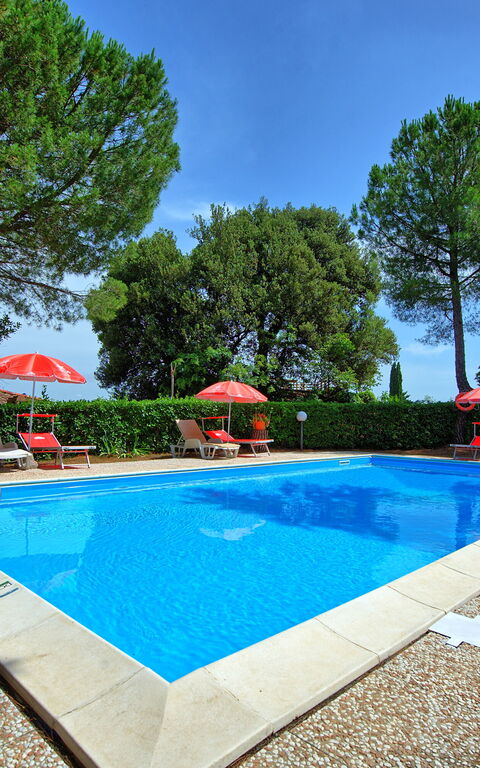 Leccino: Have, pool, Udendørs