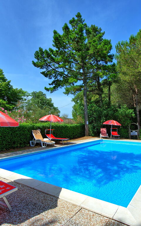 Leccino: Have, pool, Udendørs