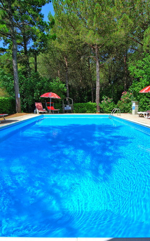 Leccino: Have, pool, Udendørs