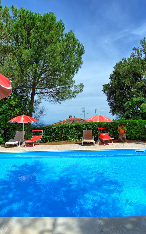 Leccino: Have, pool, Udendørs