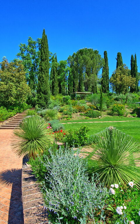 Villa Barbarella: Have, pool, Udendørs