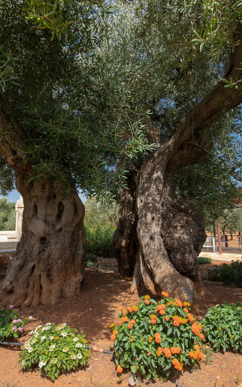 Terra Mater: Udendørs, Udvendige