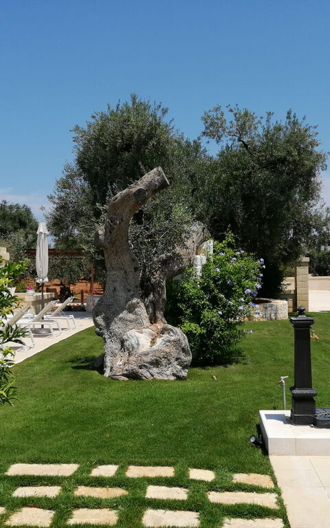 Terra Mater: Have, Udendørs, Udvendige