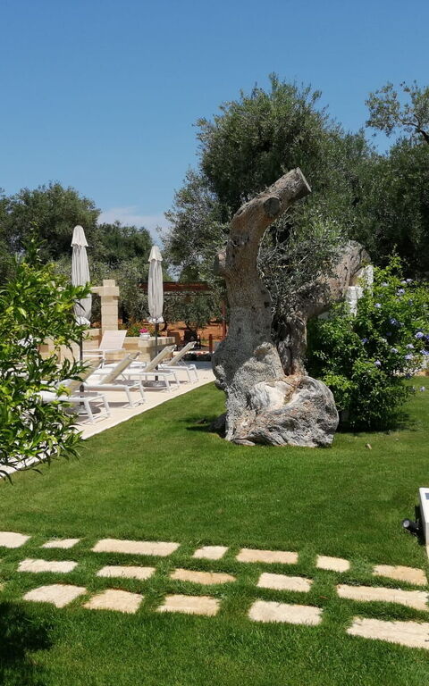 Terra Mater: Have, Udendørs, Udvendige