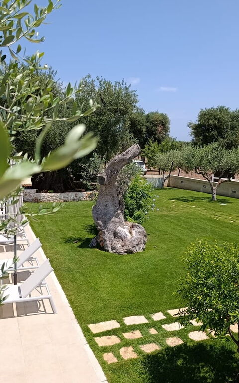 Terra Mater: Have, pool, Udendørs, Udvendige