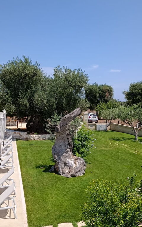 Terra Mater: Have, pool, Udendørs, Udvendige