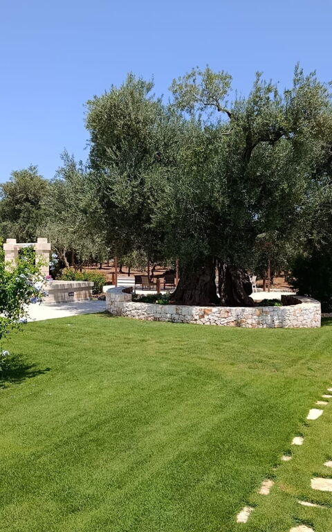 Terra Mater: Have, Udendørs, Udvendige