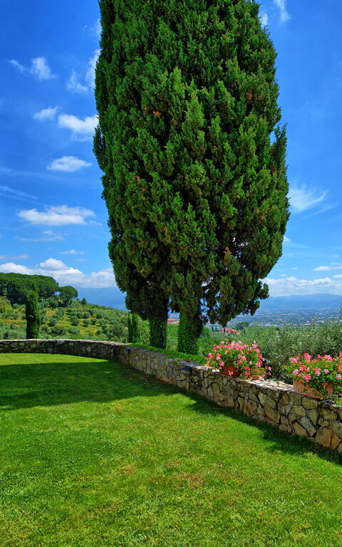 Villa Mami: Have, Udendørs, Udvendige, Visninger