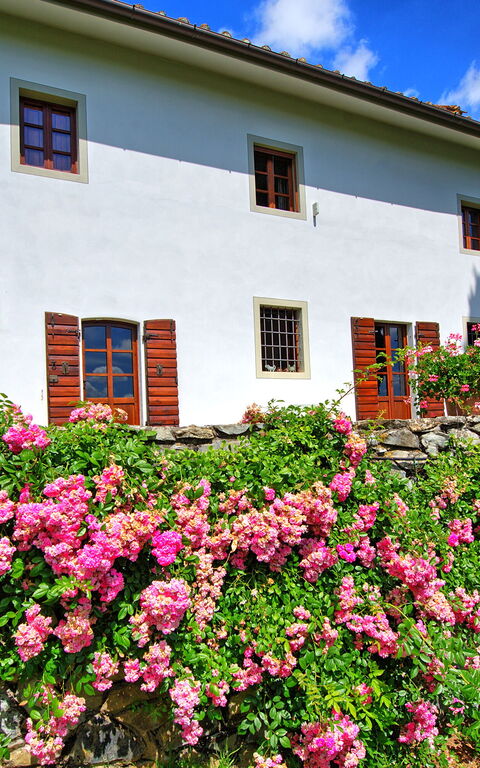 Villa Mami: Have, Udendørs, Udvendige