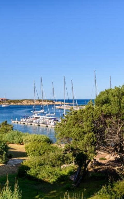 Lentischio: Visninger