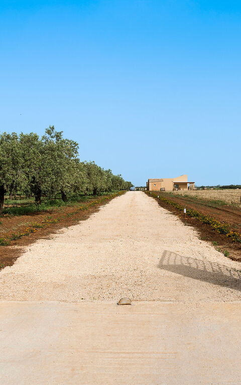 Villa Cavalè: Hovedindgang, Udendørs, Udvendige