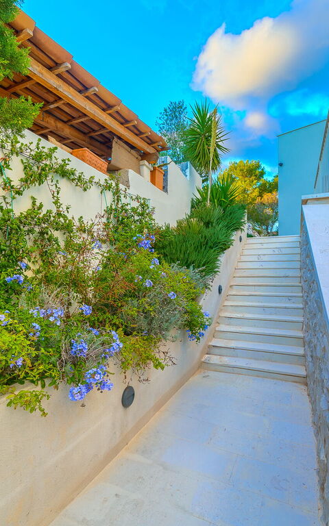 Villa Pine Haven: Udendørs, Udvendige