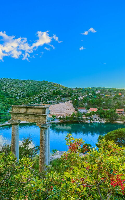 Villa Pine Haven: Visninger