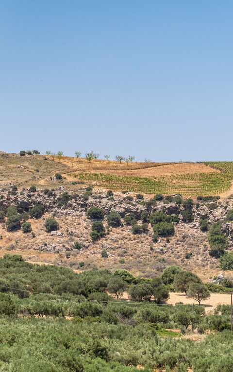 Villa Aetheria: Visninger