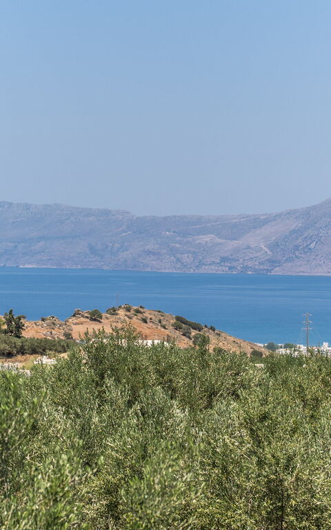 Villa Aetheria: Visninger