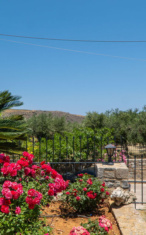 Villa Aetheria: Udendørs, Udvendige