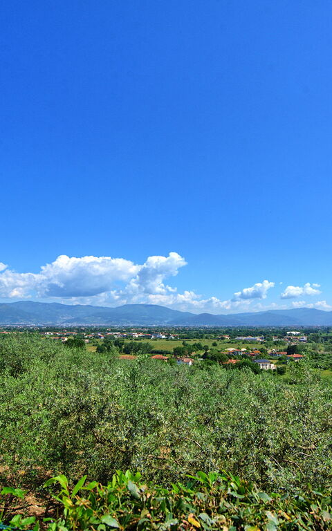 Villa Marusca: Udendørs, Udvendige